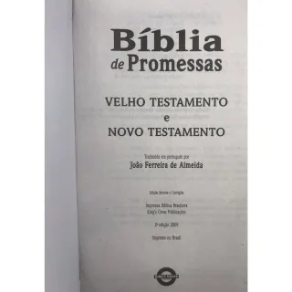 Bíblia Sagrada Capa Dura Tamanho Médio Leão Cinza 12,5x19 cm - Único