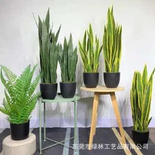 UNIDADE ARTIFICIAL - Espada de São Jorge - Pequena 50CM