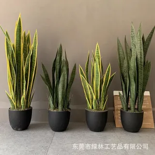 UNIDADE ARTIFICIAL - Espada de São Jorge - Pequena 50CM