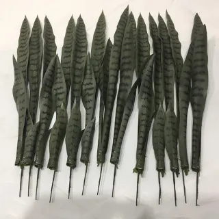 UNIDADE ARTIFICIAL - Espada de São Jorge - Pequena 50CM