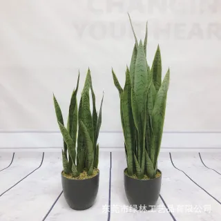 UNIDADE ARTIFICIAL - Espada de São Jorge - Pequena 50CM