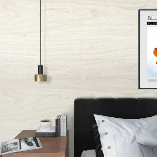 Diversos Modelos Papel de Parede Adesivo Lavável - 20 Metros - HEXAGONO