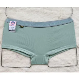 Boxer Feminina Calcinha Kit 10 Short Adulto Cuecas Calcinhas Box - Lisas Sortida
