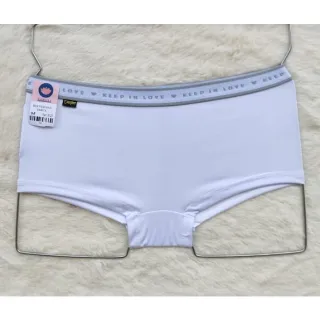 Boxer Feminina Calcinha Kit 10 Short Adulto Cuecas Calcinhas Box - Lisas Sortida