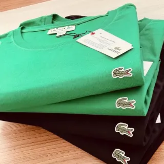 Promoção Camiseta Básica Masculina Lisa Algodão 100% - Cores: Preto, Branco, Cinza, Marinho, Verde e Bordo - G