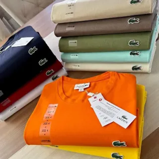 Promoção Camiseta Básica Masculina Lisa Algodão 100% - Cores: Preto, Branco, Cinza, Marinho, Verde e Bordo - G