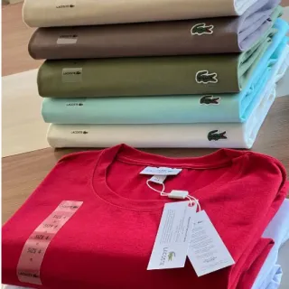 Promoção Camiseta Básica Masculina Lisa Algodão 100% - Cores: Preto, Branco, Cinza, Marinho, Verde e Bordo - G