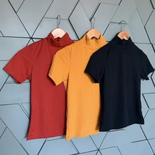 Blusinha Manga Curta Canelada Feminina - Gola Alta Blogueira - Pink