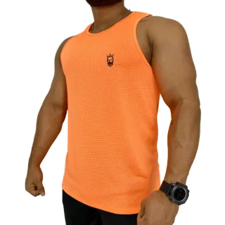 Escolha Regata Masculina Fitness Dryfit para Treino na Academia - Cores Variadas - MESCLA