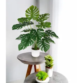 Toque Real Planta Artificial Costela De Adão - Único