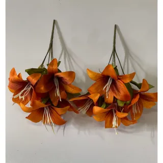 Lírio Kit com 2 Flores C/5 cada