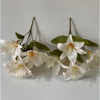 Lírio Kit com 2 Flores C/5 cada - Laranja