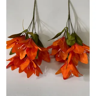 Lírio Kit com 2 Flores C/5 cada - Laranja