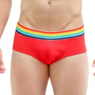 Microfibra respirável cueca slip arco iris - Lilás