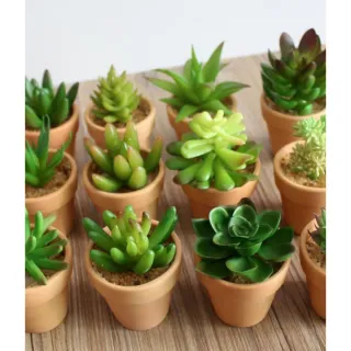 Vaso Branco Luxo Planta Artificial Suculenta - Kit com 3 Unidades - Único