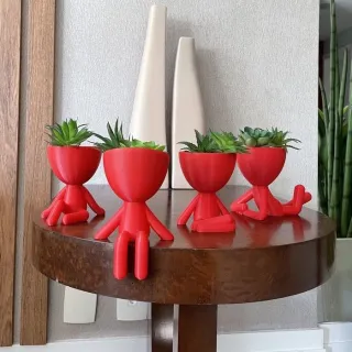 Cactus Suculentas Kit Show - 4 Vasos de Decoração 6cm (Robert Plant) - Branco