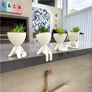 Cactus Suculentas Kit Show - 4 Vasos de Decoração 6cm (Robert Plant) - Branco