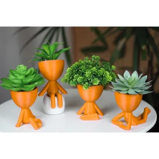 Cactus Suculentas Kit Show - 4 Vasos de Decoração 6cm (Robert Plant) - Branco