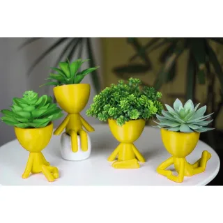 Cactus Suculentas Kit Show - 4 Vasos de Decoração 6cm (Robert Plant) - Branco