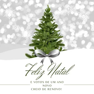 Enfeite Natal Grande Kit Bola Prata 8cm Árvore Decorar Bolinha - Único
