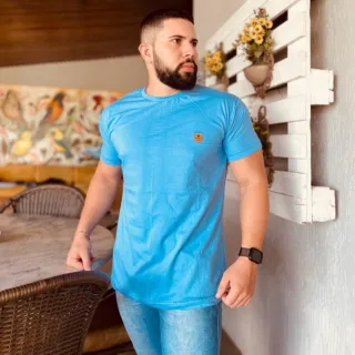 Preço de fábrica: Camiseta Masculina Algodão Fio 30 Penteado - Diversas Cores - M ( Forma  Pequena )