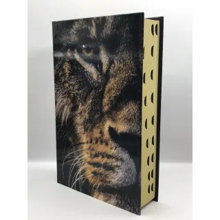 Kit 2 Bíblias Tamanho Grande Capa Dura Com Harpa - Promoção Raryel - Único