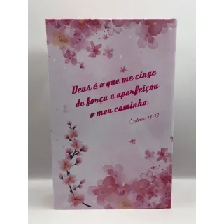 Kit 2 Bíblias Tamanho Grande Capa Dura Com Harpa - Promoção Raryel - Único