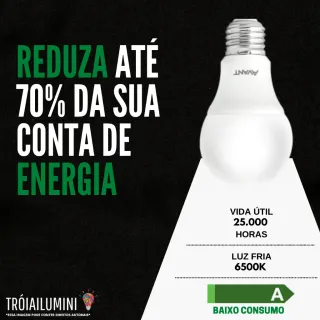 Lâmpadas Led Bulbo Bivolt Branco Frio Avant - 10 unidades - Único