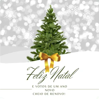 Decoração Natal Dourada Grande: Kit 12 Bolas Enfeite Arvore 8cm - Único