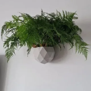 Vaso pendente de parede em formato diamante para plantas - Modelo B - Preto