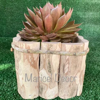 Rústico Café Madeira Vaso Kit 10pçs Cachepô - 6x6cm