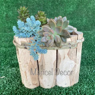 Rústico Café Madeira Vaso Kit 10pçs Cachepô - 6x6cm