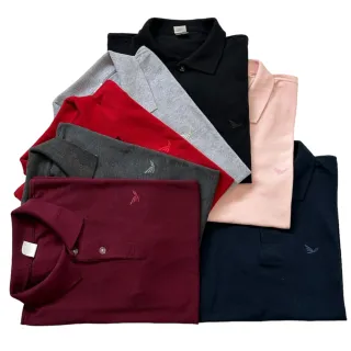 Kit de 5 camisas masculinas polo em piquet de algodão - cores e marcas variadas - P