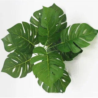 Artificial costela de Adão verde natural buquê 67008 - Único