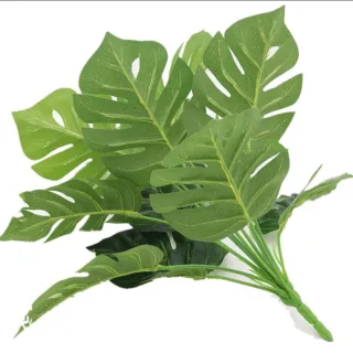 Artificial costela de Adão verde natural buquê 67008 - Único