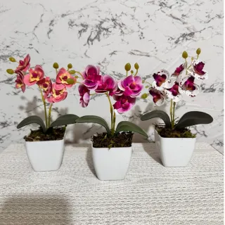 Decoração com arranjo de orquídeas permanentes - Kit de três vasinhos - TRIO MODELO 5