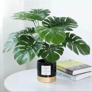 Artificial costela de Adão verde natural buquê 67008