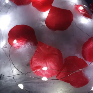 Decoração Natalina Fio de Fada LED 5M Pisca Pisca Cordão Branco - Branco (R86553-001)