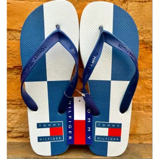 Promoção: Chinelos Masculinos Variados com Frete Grátis e Envio Imediato - TM3 Correia Azul