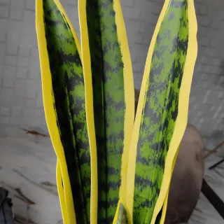 Vaso Decoração Planta Artificial São Jorge Espada Ogum Santa - Esfera Branco