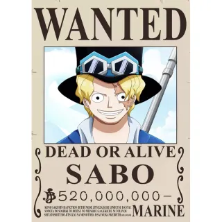 One Piece - Poster Premium - Chopper