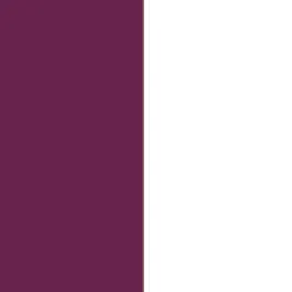 Moda Blogueira Blusa Feminina Tricot Básica Cacharel 2 Cores - Verde Bandeira/Preto