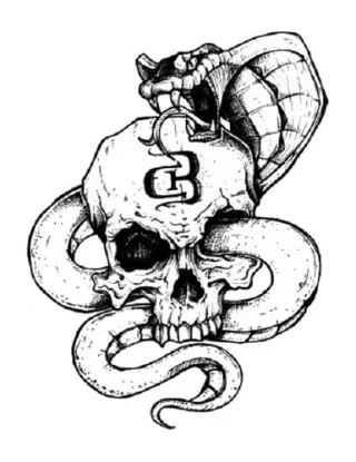 Kit Animal Bcaa Whey Isolado 900g Creatina Brutal Pack 30pak - Chocolate