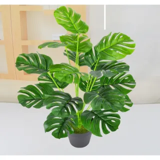 Toque Real Planta Artificial Costela De Adão - Único