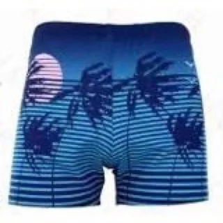 Estampado Masculino Boxer Sunga Com Bolso Todo Forrado - Azul Céu