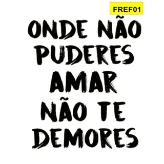 Placa Frases Feminista Decorativa - 20 opções - FREF08