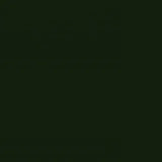 Top Nadador Suplex Poliamida + Short Cirre New Zig Conjunto Academia - Vinho