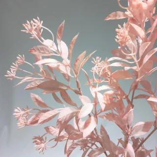 Decoração de Casamento com Galho de Matinho Pessegueiro, Cerejeira e Chuva de Ouro - Branco