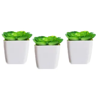 Plantinha Artificial Suculentas Mini Vasinhos Cerejeira, Palmeira Coqueiro - KIT EUCALIPTO