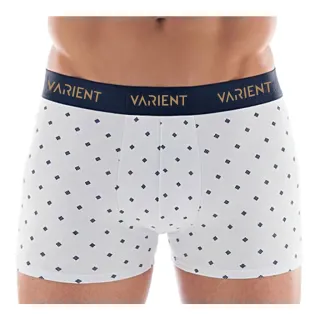 Boxer Masculino Kit 10 Cuecas Microfibra Adulto - G=40